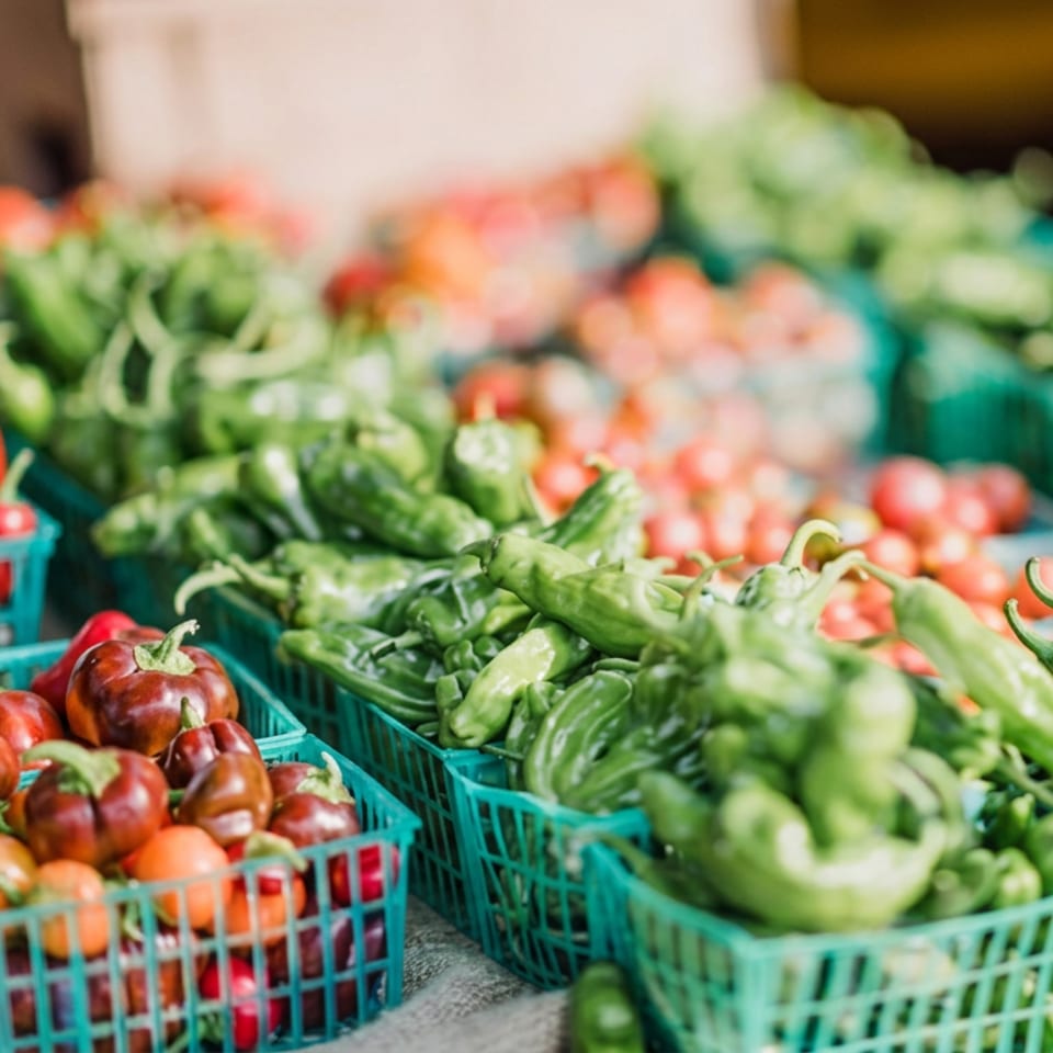 Colorful baskets of fresh tomatoes and green peppers displayed at a bustling produce market.